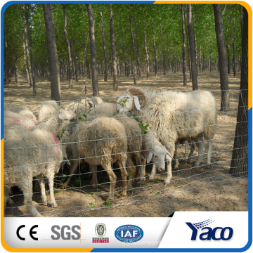 Clôture de champ contre les sangliers et les cerfs sauvages fabriqués en Chine (usine ISO9001)